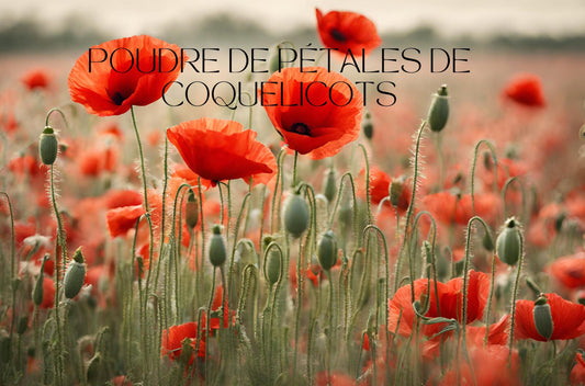 Essayez le coquelicot